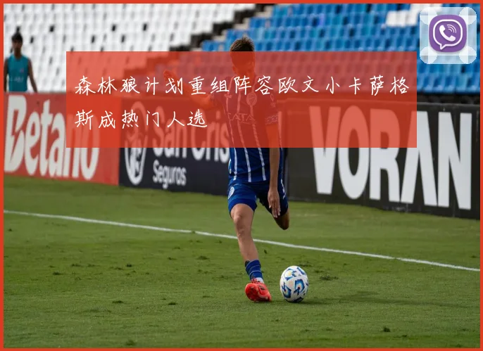 森林狼计划重组阵容欧文小卡萨格斯成热门人选